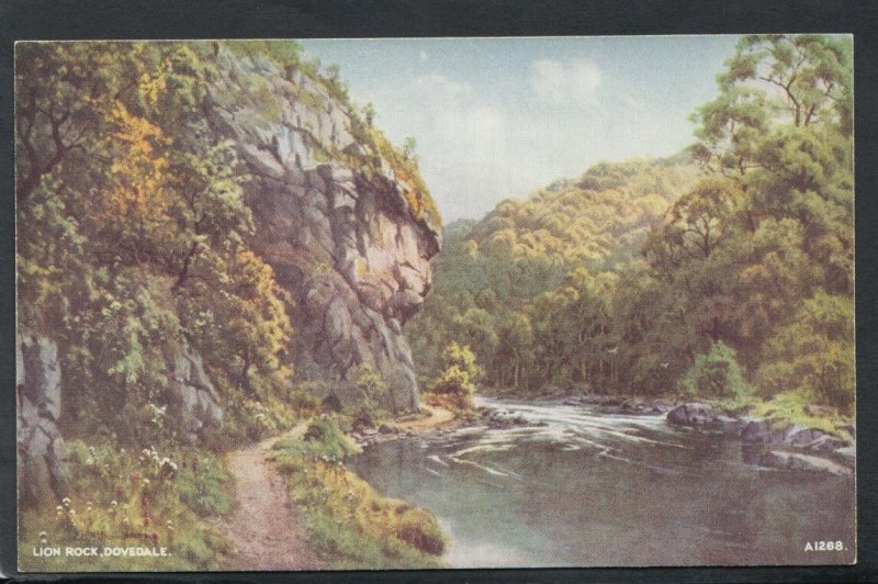 Derbyshire Postcard - Lion Rock, Dovedale    RS12125