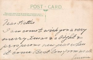 Genealogy Postcard - Ancestors - Fashion - RP of Well Dressed Young Lady RS22480