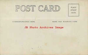 Unknown Location, RPPC, Man Workin in Green House, Photo 