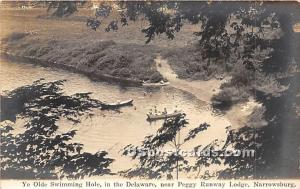 Ye Olde Swimming Hole, Delaware River Narrowsburg NY Unused