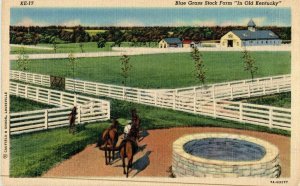 Blue Grass Stock Farm in Old Kentucky Kentucky Linen Postcard