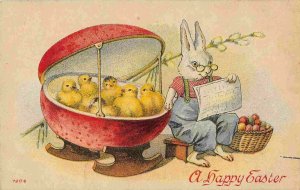 Easter Greetings Rabbit Rocking Chicks in Easter Egg Bed 1910c postcard