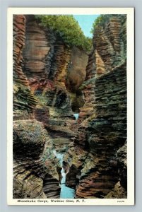 Watkins Glen NY, Minnehaha Gorge, Vintage New York Postcard