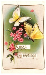 Xmas Greetings  Butterflys