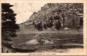 View of a Beaver House at Lily Lake, Rocky Mt Nat'l Park Vintage Postcard T64