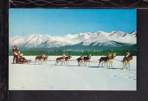 Dog Sled Team Postcard BIN 