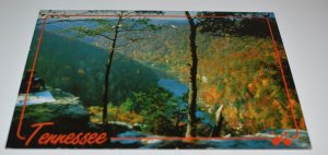 Tennessee The Volunteer State Postcard Cornelius Sales KINA Made in Italy KC 163