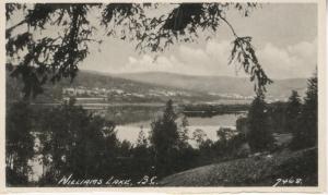 Williams Lake BC Unused Vintage Postcard E6