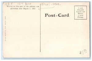 c1910 Shell Road Tall and Big Trees View Biloxi Mississippi MS Postcard