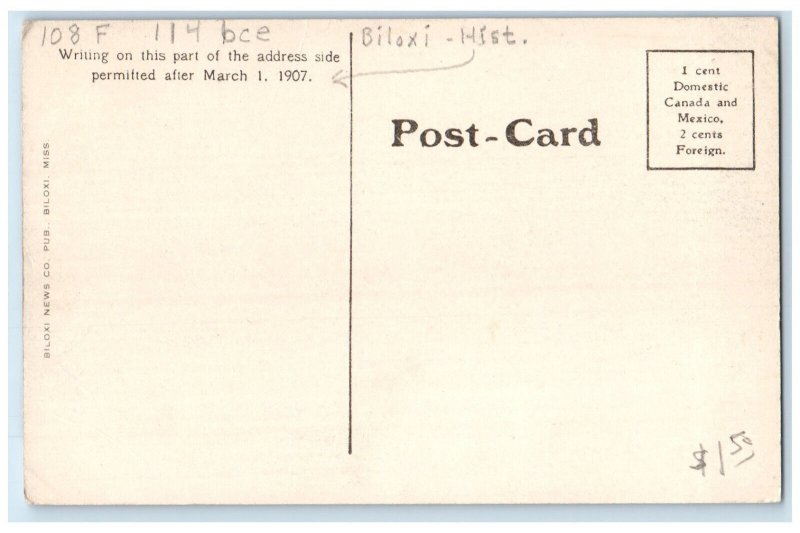 c1910 Shell Road Tall and Big Trees View Biloxi Mississippi MS Postcard