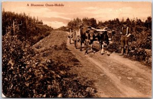 A Bluenose Oxen-Mobile Yarmouth Nova Scotia Real Photo RPPC Postcard