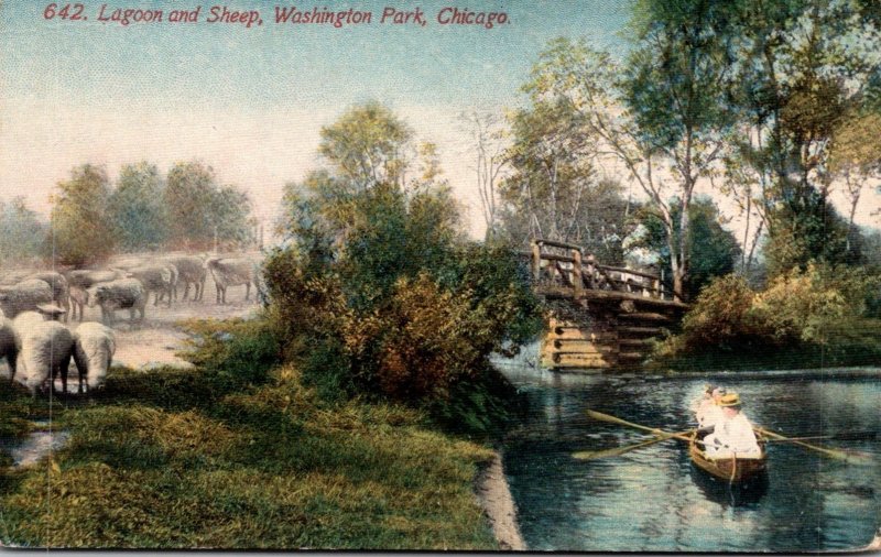 Illinois Chicago Washington Park Lagoon and Sheep