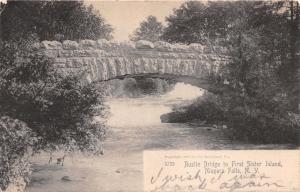 NIAGARA FALLS NY RUSTIC STONE BRIDGE~FIRST SISTER ISLAND~ROTOGRAPH POSTCARD 1906