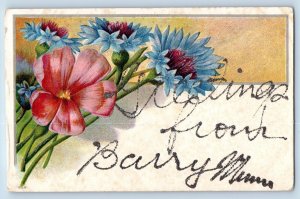 Barry Minnesota Postcard Greetings Glitter Embossed Flower c1910 Vintage Antique