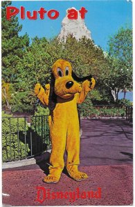 US unused card - Disneyland - Pluto, looking for his lifelong companions.
