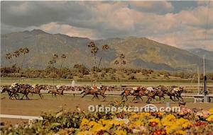 Santa Anita Park Arcadia, California, CA, USA Horse Racing Unused 