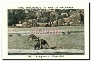 Image Zoo de Vincennes wood kangaroos australia