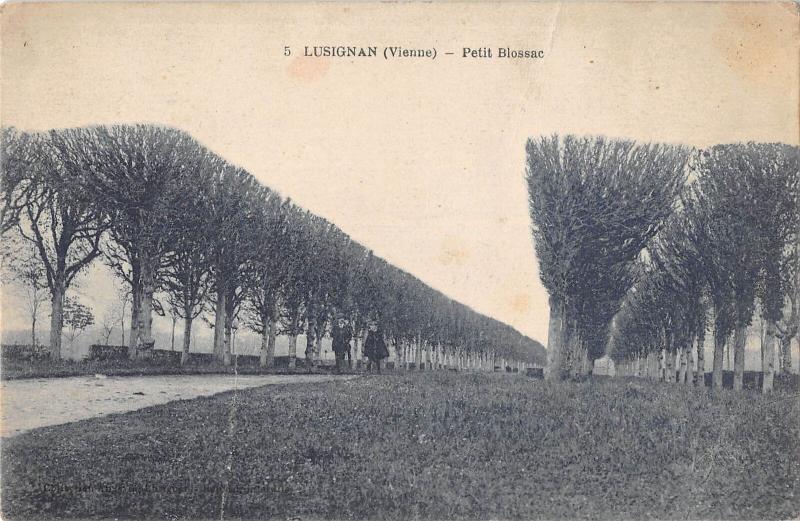 B104666 France Lusignan Vienne, Petit Blossac Trees Road