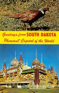 Greetings From South Dakota Pheasant Capital of the World Sioux Falls SD 