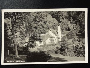 Somerset: COTTAGE Selworthy near Minehead - Old RP Postcard by Blackmore