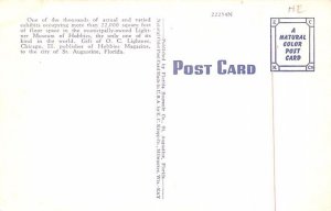 Dolls Exhibit St Augustine, Florida, USA Postcard