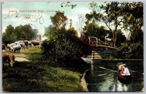 Vtg Chicago Illinois IL Scene In Washington Park Rowboat Sheep Grazing Postcard