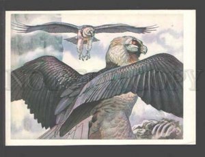 096001 BIRD Borodach EAGLE Old Russian Card