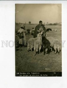 3173284 BULGARIA SOFIA sheepherds Vintage real photo postcard