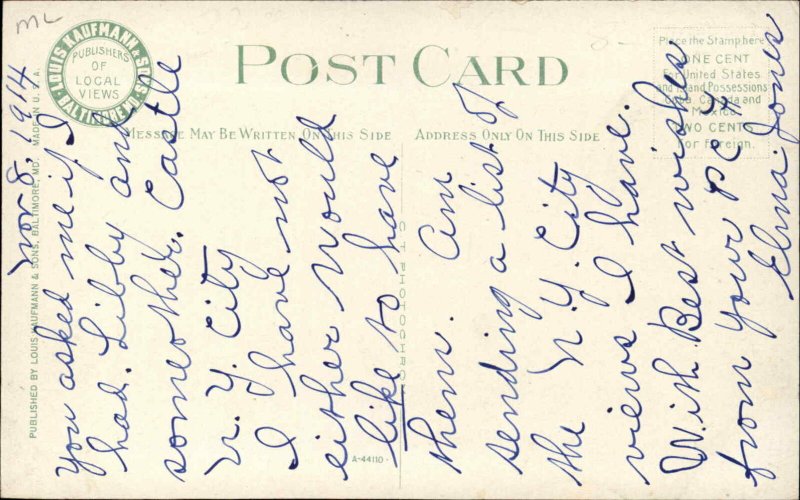 Seaford Delaware DE Pine St. c1910 Postcard