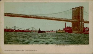 B579 United States New York East River Bridges 1902