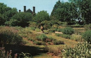 Colonial Garden,Westmoreland County,VA BIN