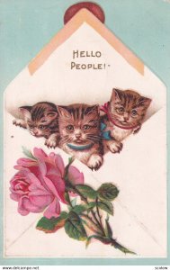 Hello People!, Three Kittens in an envelope, Pink Rose, 1900-10s