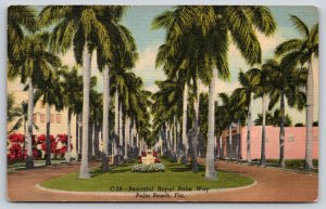 Palm Beach Florida~Royal Palm Way~Palm Tree Lined Drive~1953 Linen Postcard