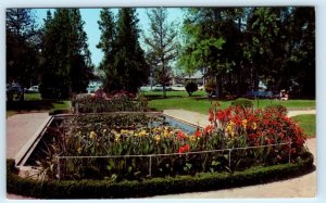 FULLERTON, California CA ~ Lily Pond & Pool AMERIGE PARK ca 1960s Postcard