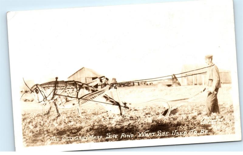 *Old Grey Mare Grasshopper Hoeing Farmer's Field Farm Comic Vintage Postcard C71