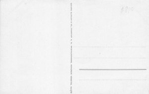 Neroberg Wiesbaden Germany c1910 Postcard Aerial View