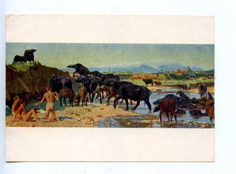 200912 RUSSIA buffaloes nude boys by Zhilinskiy postcard