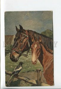 3176462 HORSES Mom & FOAL & Magpie by VELTEN vintage PC