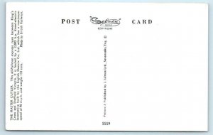 Railroad Train THE MASTER CUTLER Pullman Express UK England ~ Salmon Postcard