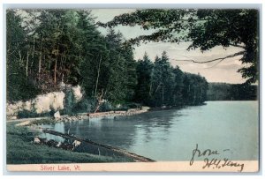 1907 Silver Lake View Park Clear River Dirt Path Forest Vermont VT Postcard