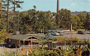 TACOMA WA~CHILDREN'S  FARM ZOO & MT RAINIER~POINT DEFIANCE PARK POSTCARD 1968 PM