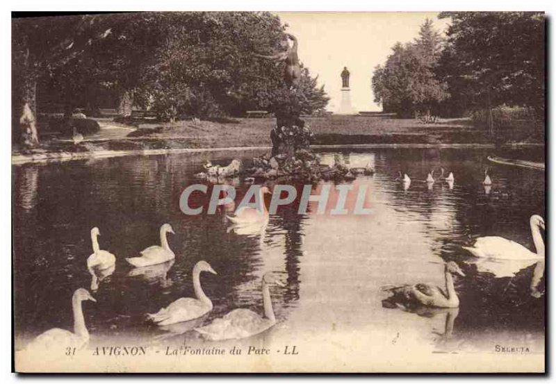 Postcard Old Avignon the Park Fountain