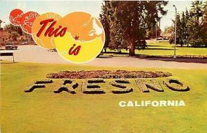 CA, Fresno, California, This is Fresno, Sign in Grass, Dexter Press No. 4127-C