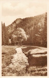 A063 Germany 1936 Raeurberstein Silbergraben Obernhof river forest postcard