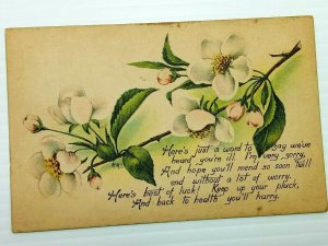 Vintage Postcard 1917 Here's just a word to say we've heard you're ill. Flower