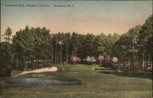 Pinehurst NC Cathedral Hole Golf Course Golfing Albertype Vintage Postcard