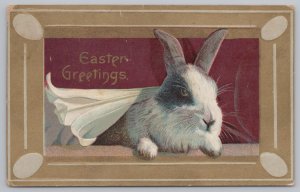 Greetings~Rabbit In Frame & Easter Greetings~Vintage Postcard 