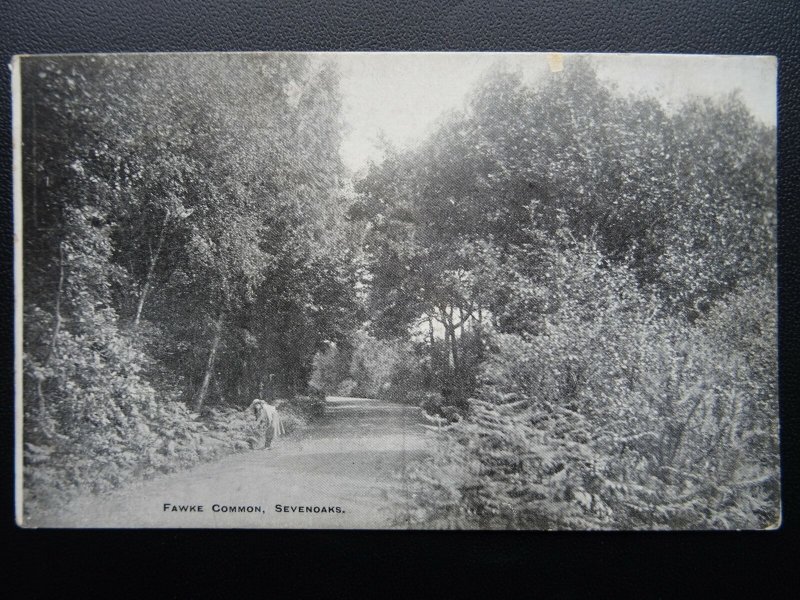 Kent SEVENOAKS Fawke Common - Old Postcard by J. Salmon