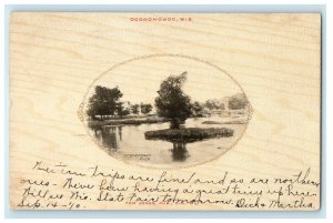1910 Oconomowoc River Showing Bridge Wisconsin WI Posted Antique  Postcard