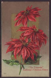 The Poinsettia,California's Christmas Flower Postcard